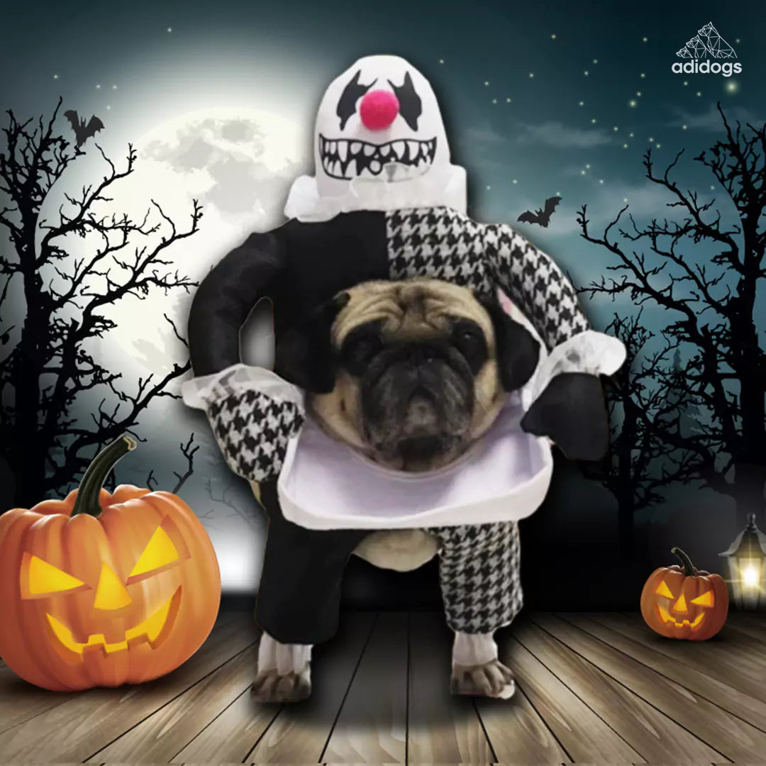 Spooky Dog Halloween Costume