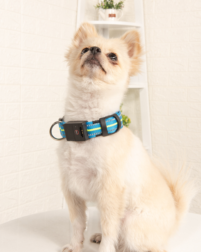 Waterproof Magnetic Charging Pet Collar