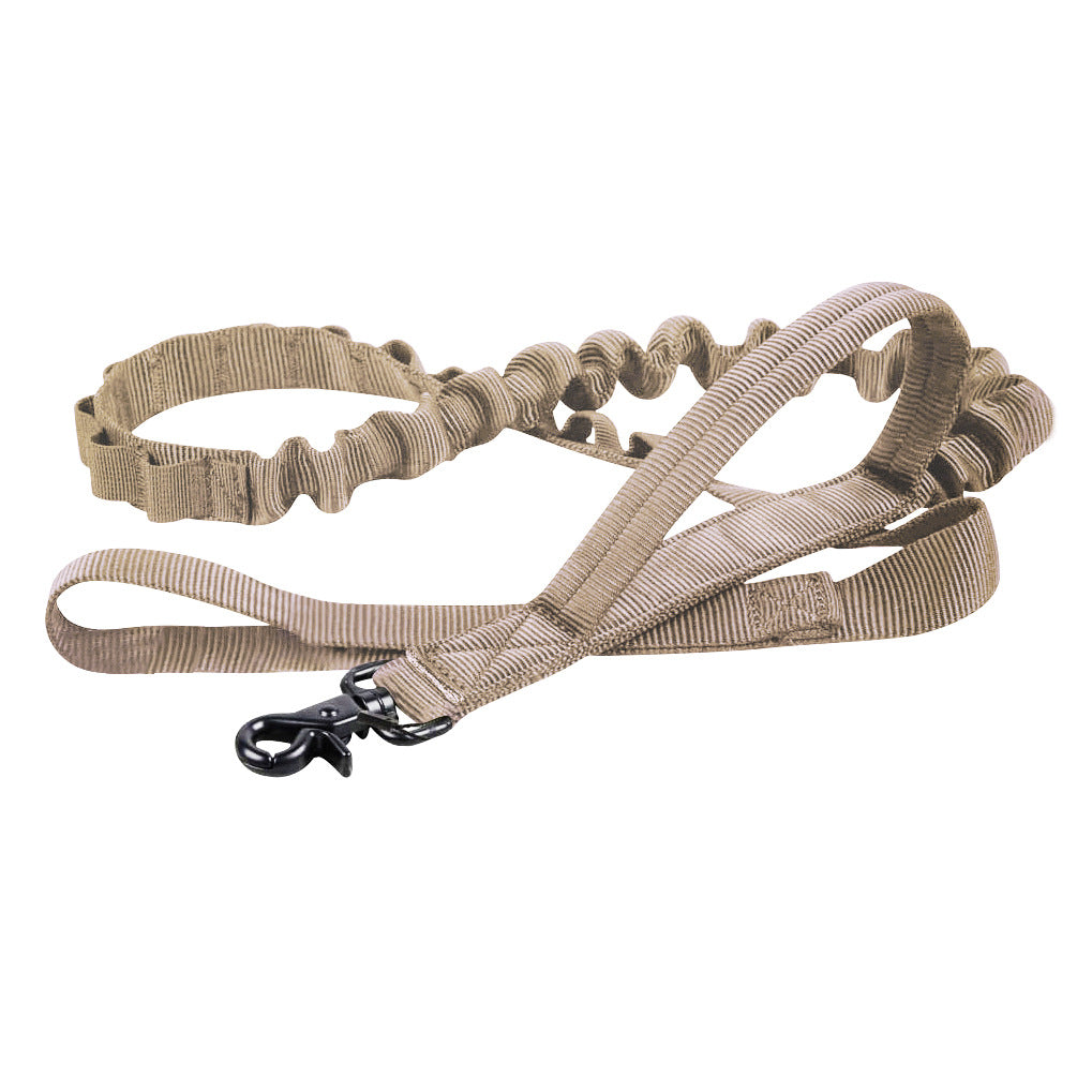 Dog Collar And Leash