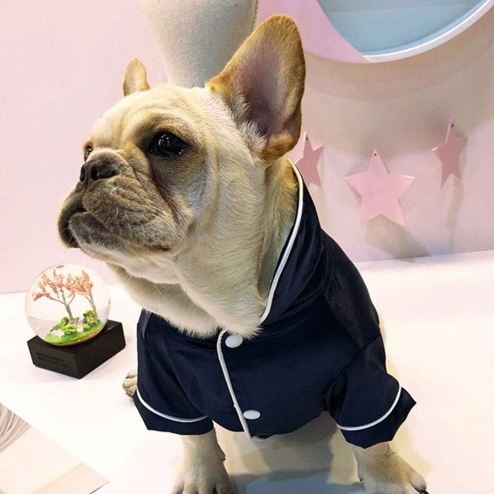 Frenchie Cozy Fashion Outfit