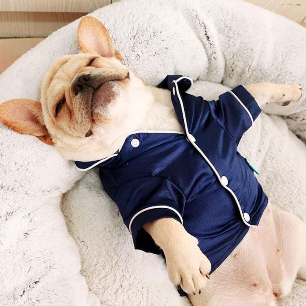 Frenchie Cozy Fashion Outfit