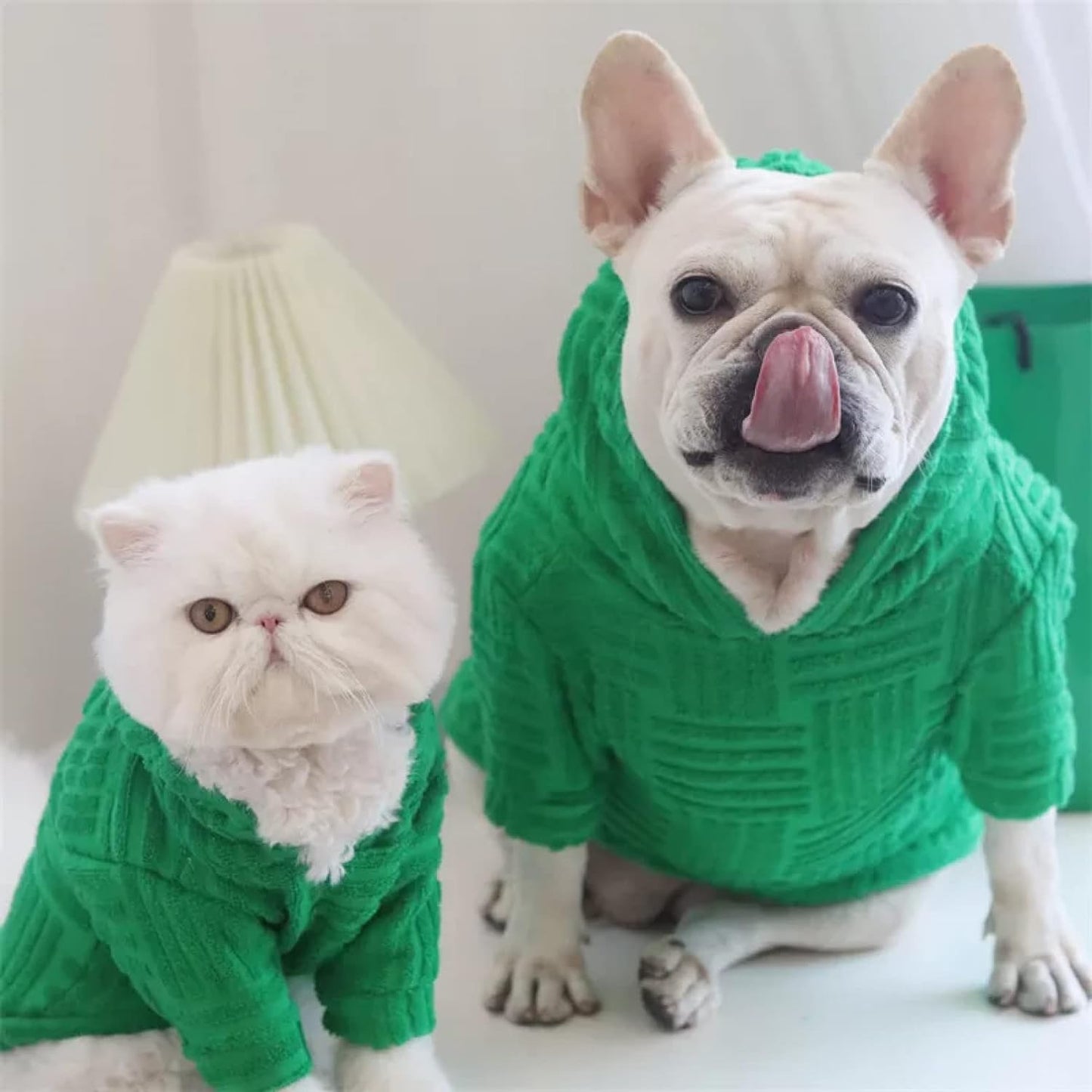 Frenchie Winter Fashion Hoodie