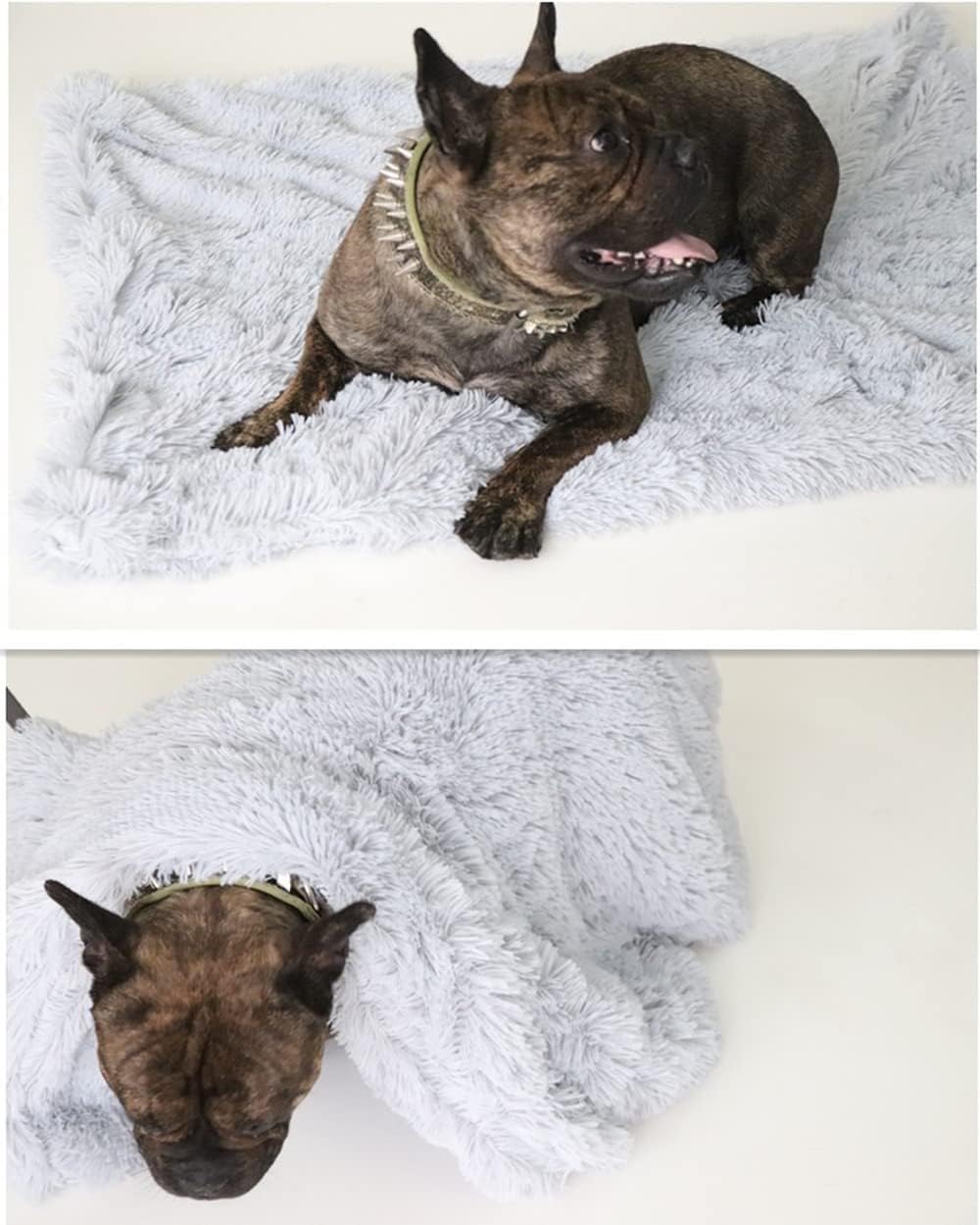 Soft Pet Throw Blanket