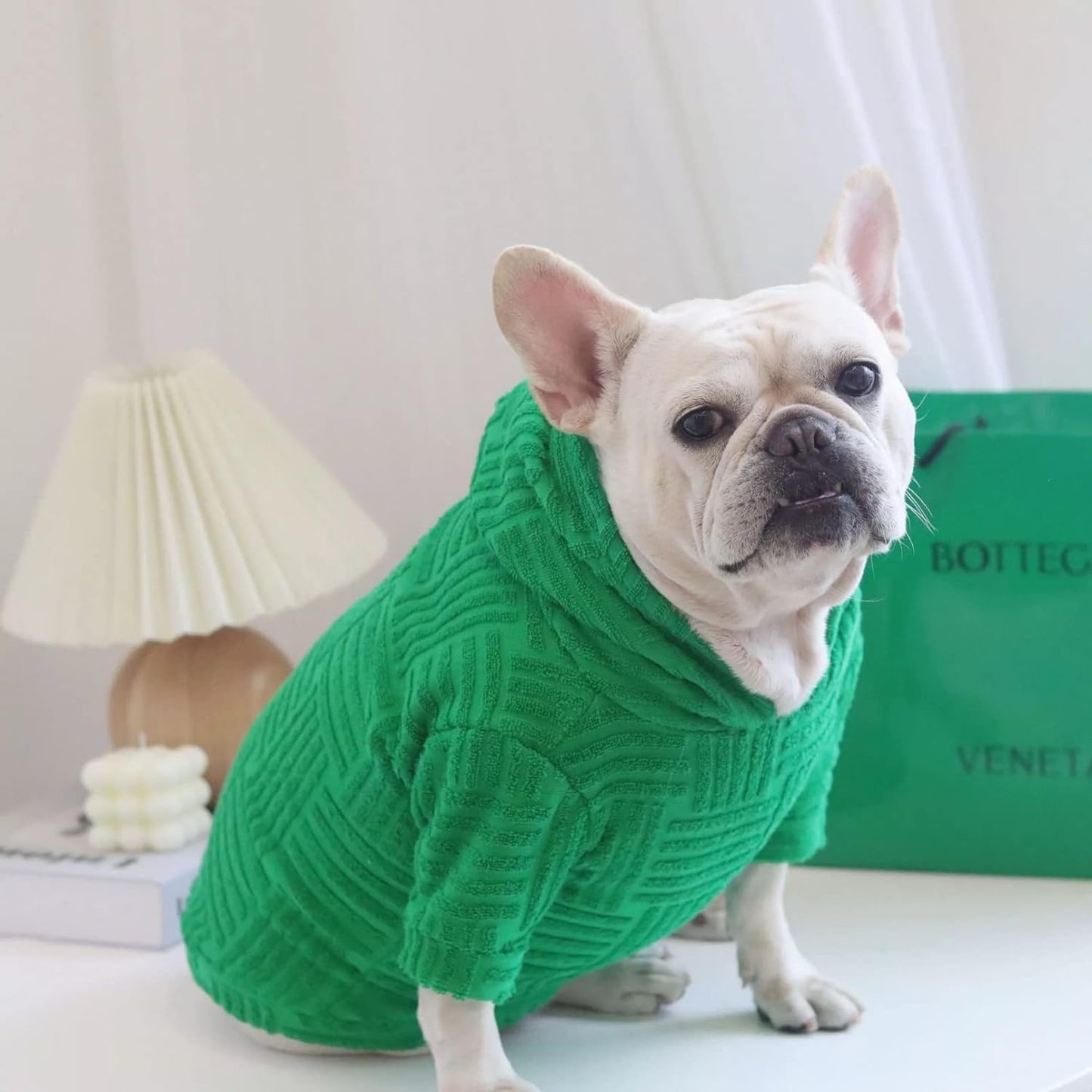 Frenchie Winter Fashion Hoodie