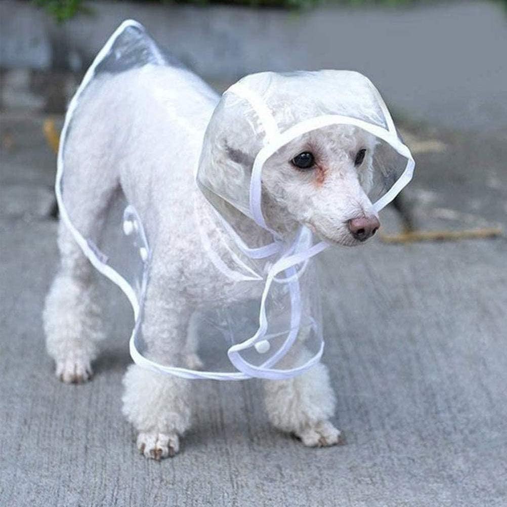 Transparent Dog Raincoat