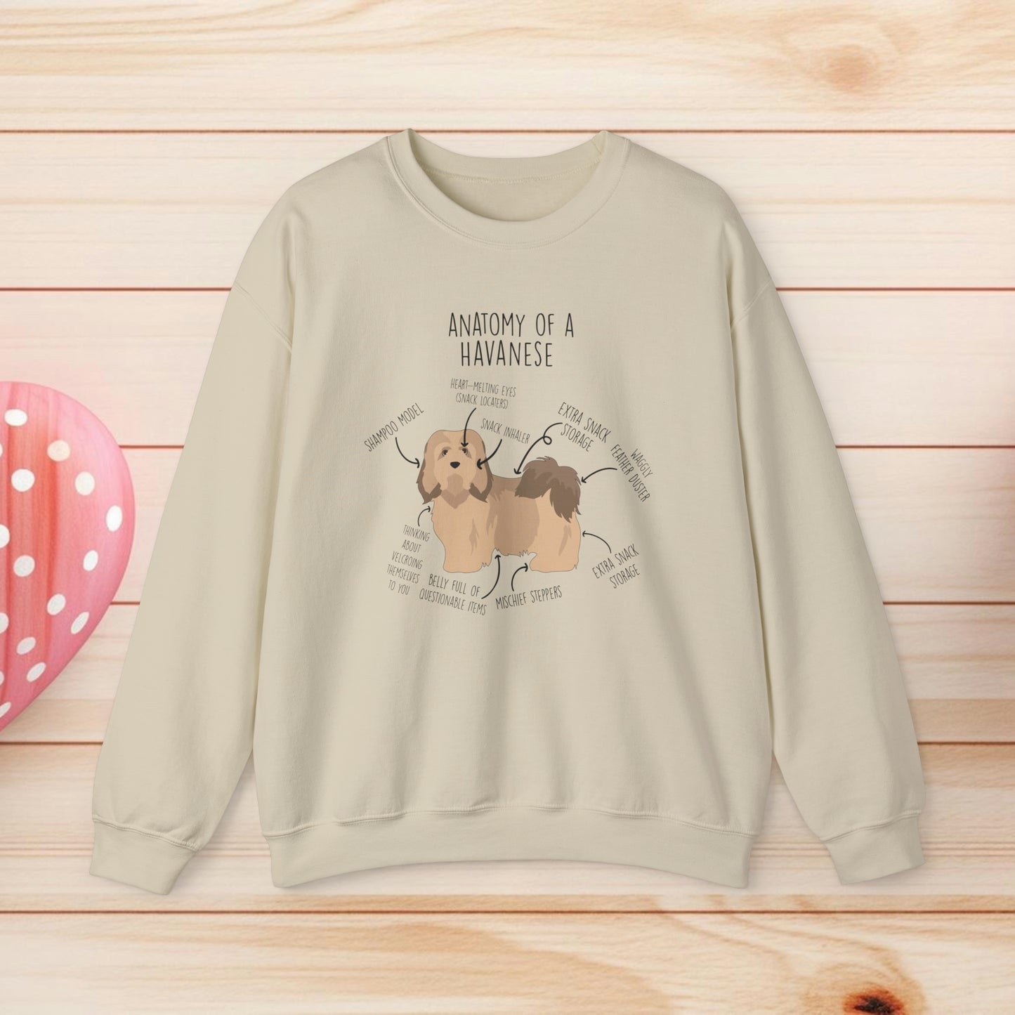 Anatomy Of A Havanese Shirts & Gifts