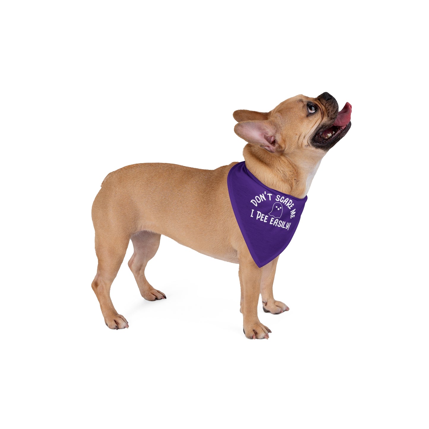 Funny Dog Bandana Purple