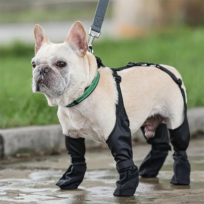 Adjustable Waterproof Dog Boots