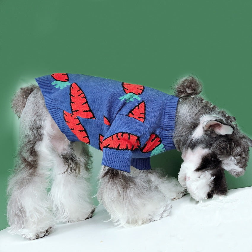 Cute Schnauzer Carrot Sweater