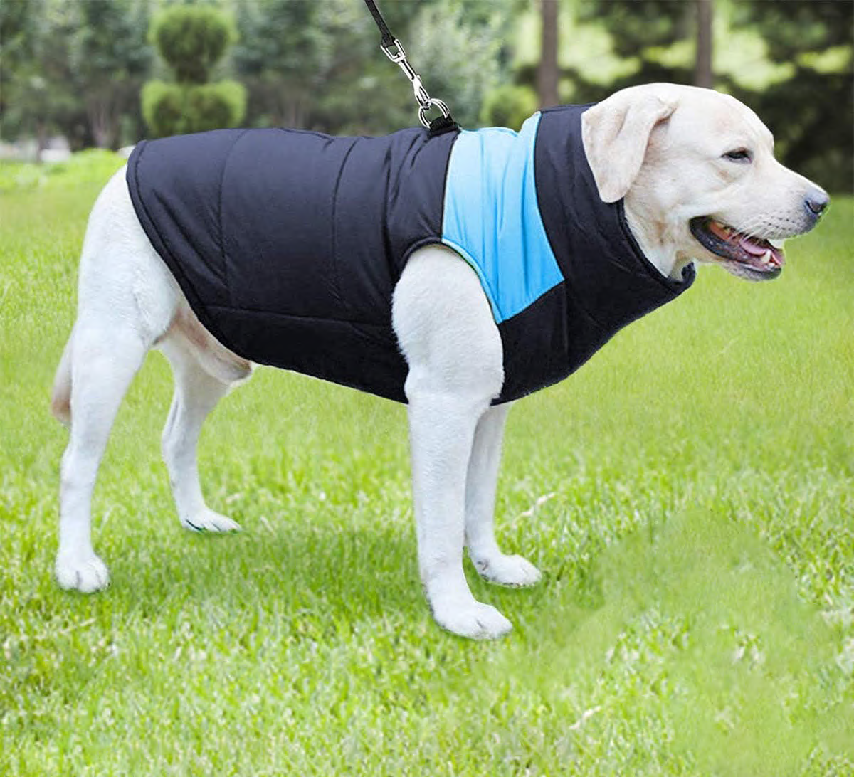 Labrador Winter Dog Jackets