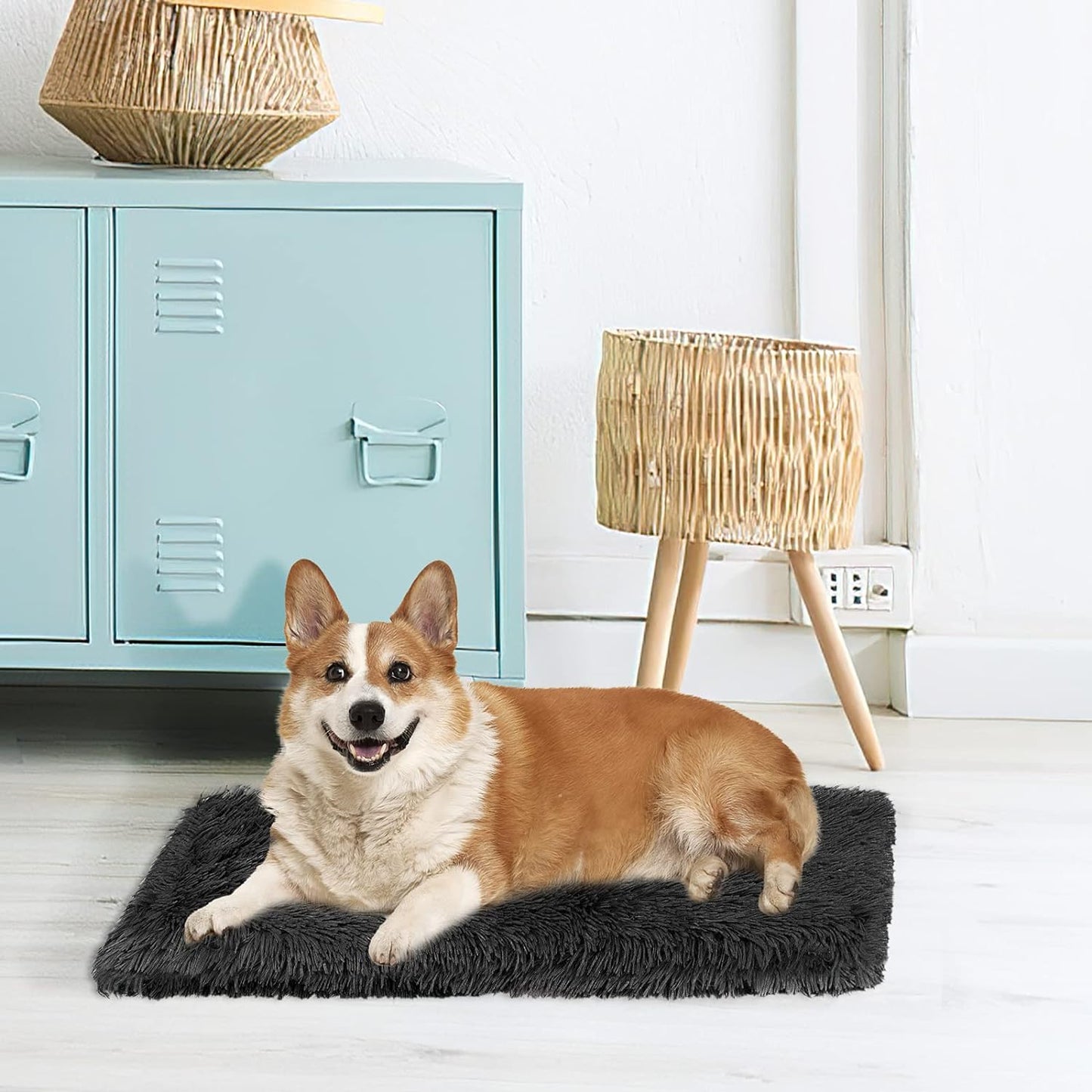 Soft Pet Throw Blanket