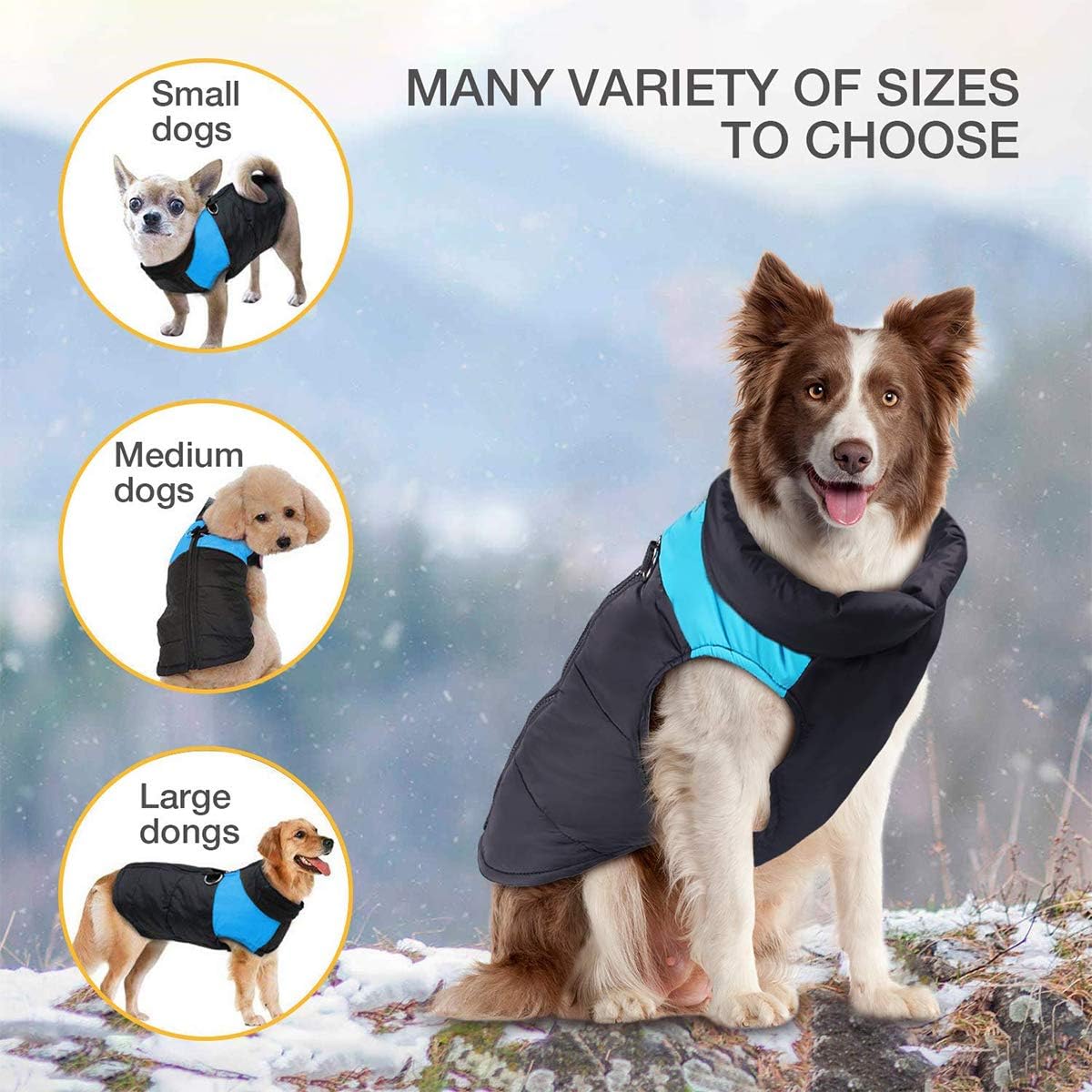 Border Collie Winter Dog Jackets