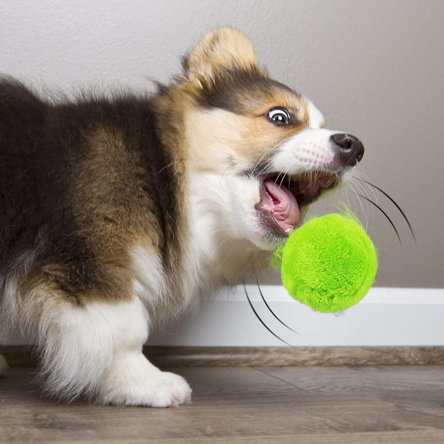 Active Pet Dog Rolling Ball