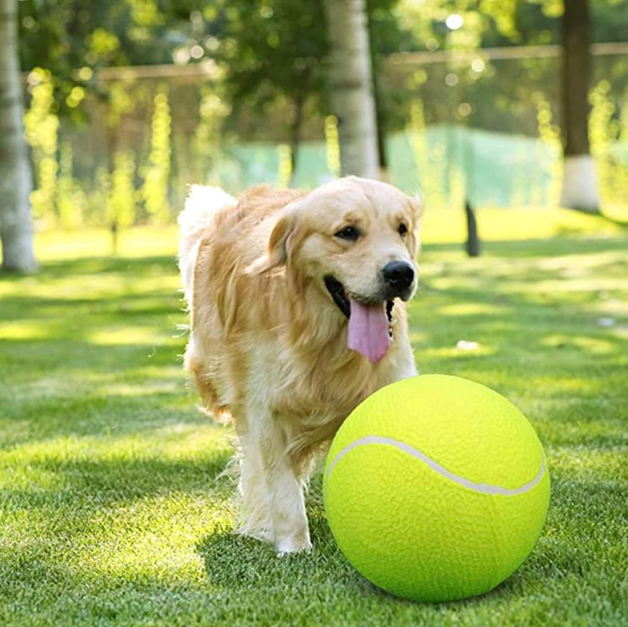 Giant Tennis Ball For Dog