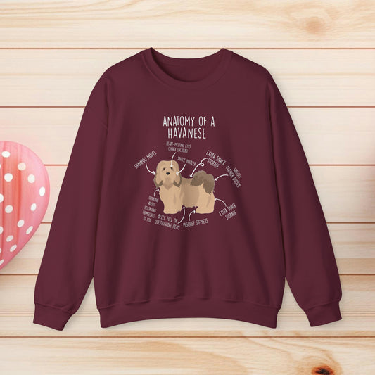 Anatomy Of A Havanese Shirts & Gifts