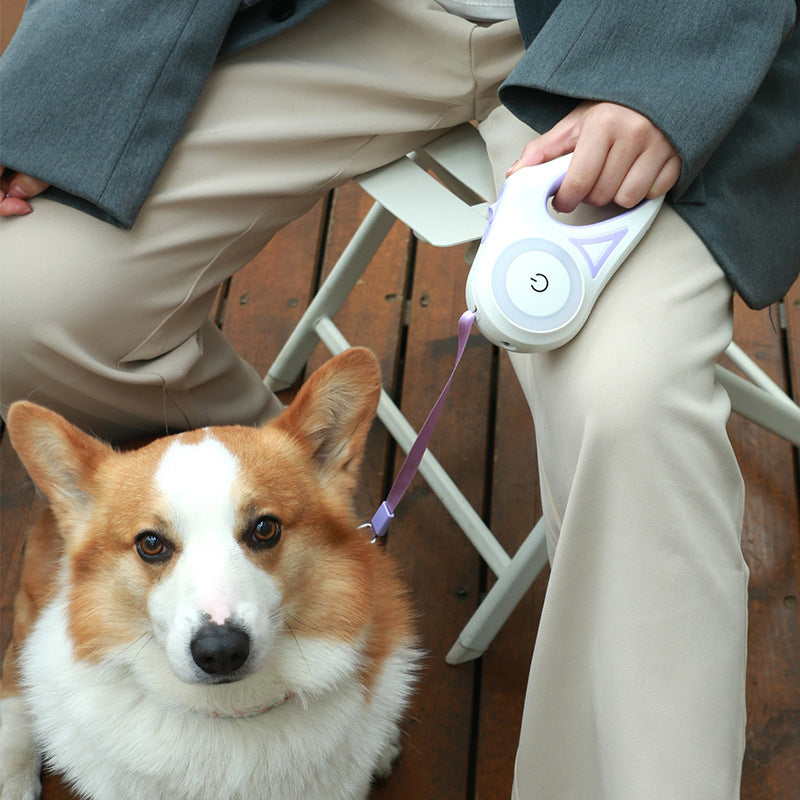 Dog Retractable Leash Collar