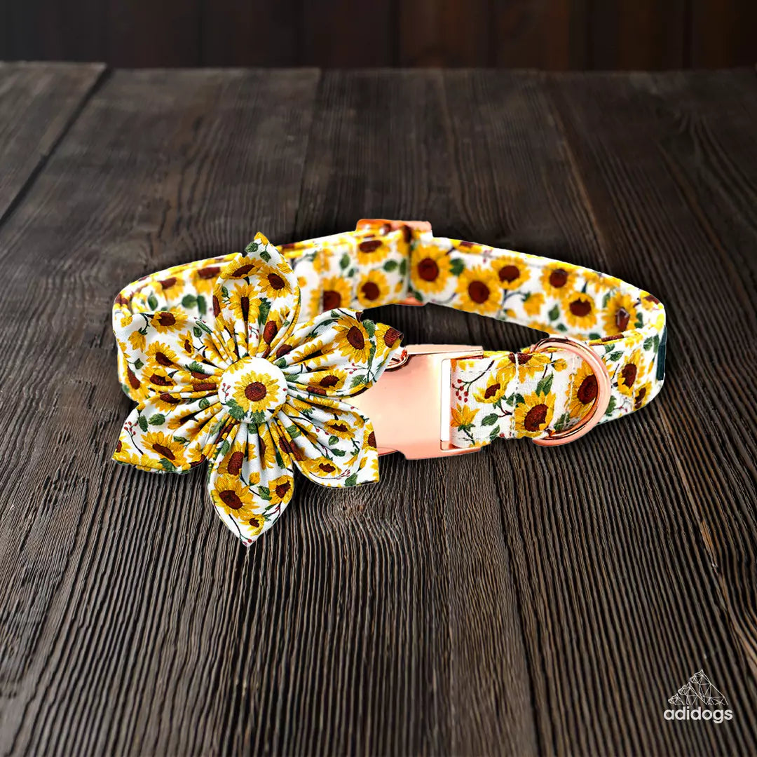 Floral Collar Bows Leash