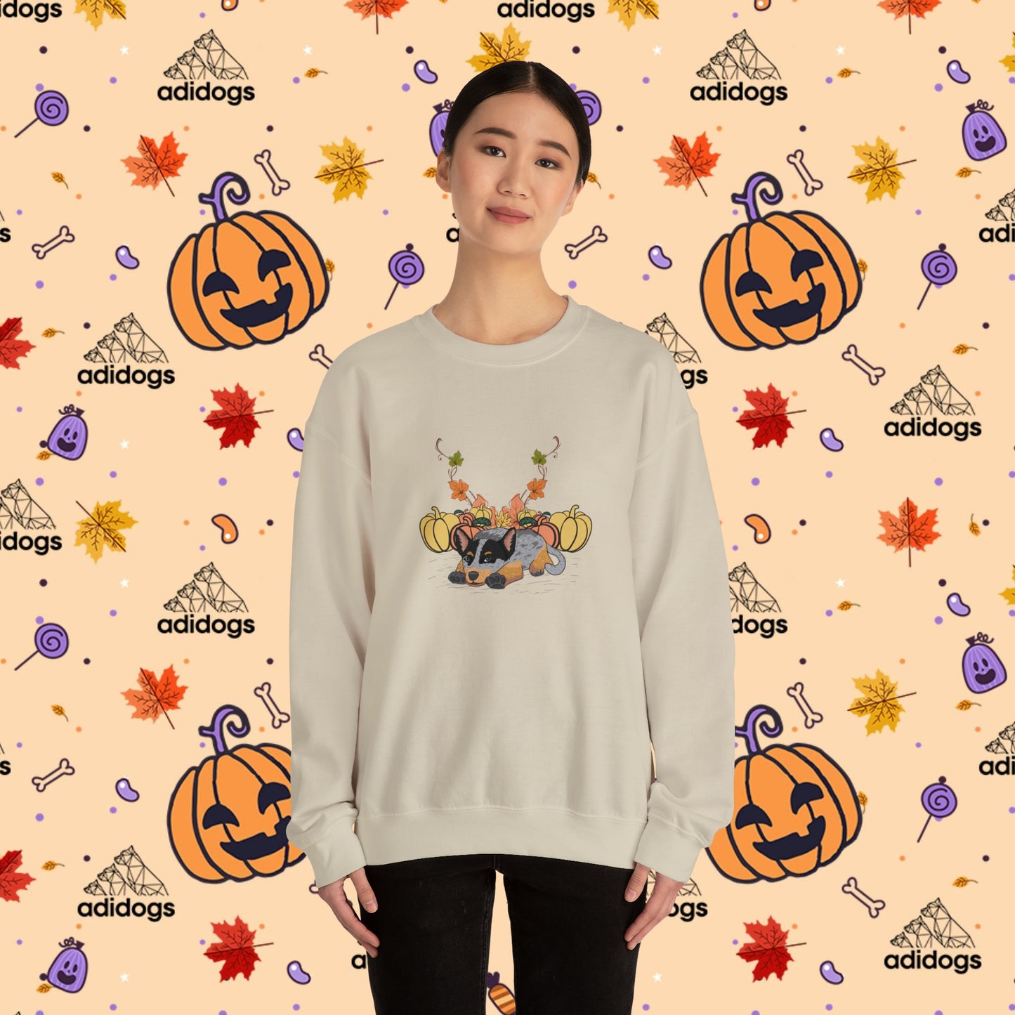 Blue Heeler Pumpkin Fall Sweatshirts