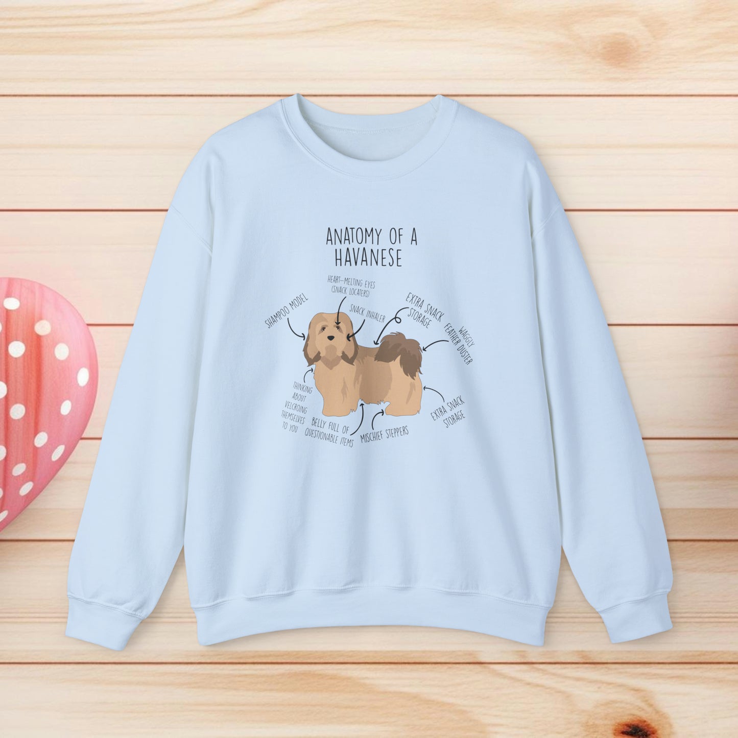 Anatomy Of A Havanese Shirts & Gifts