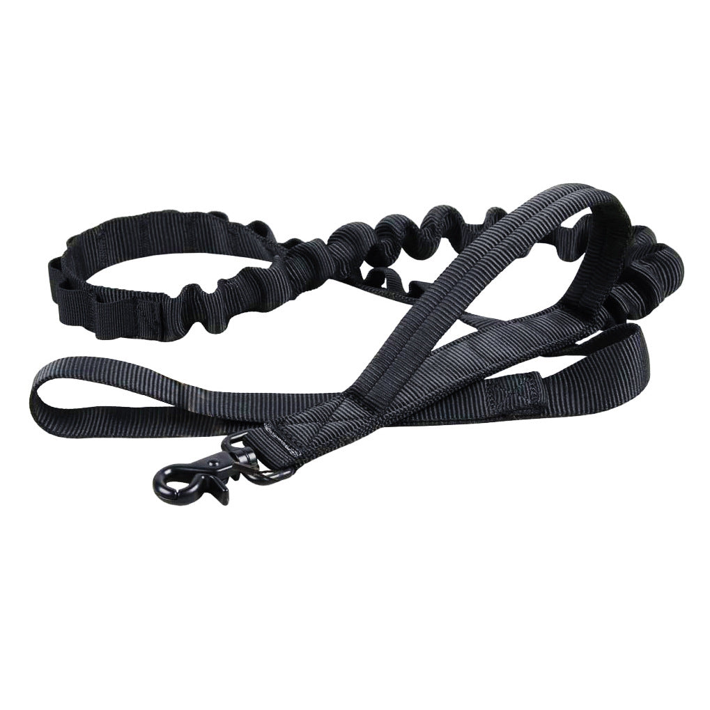 Dog Collar And Leash