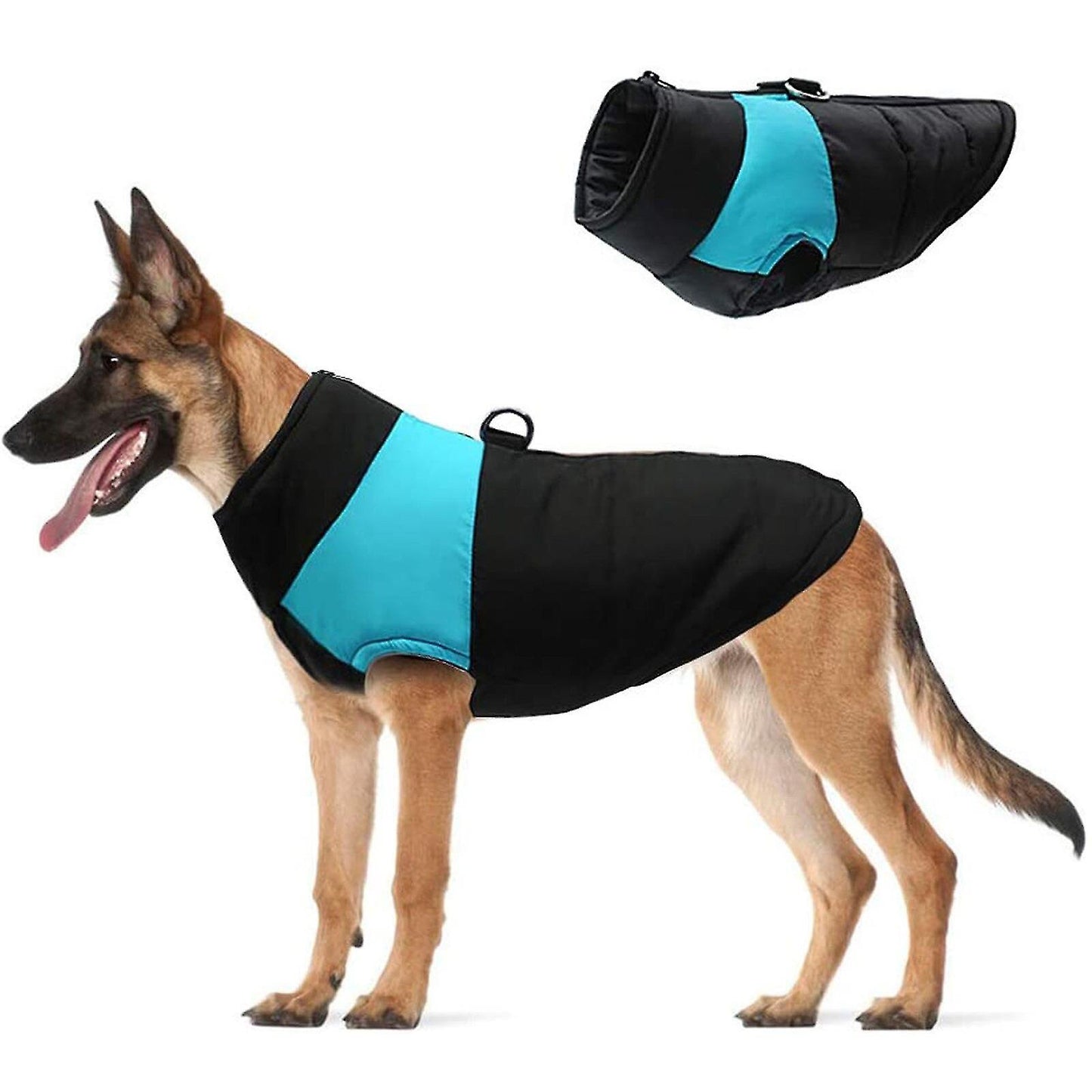 Malinois Jackets For Winter