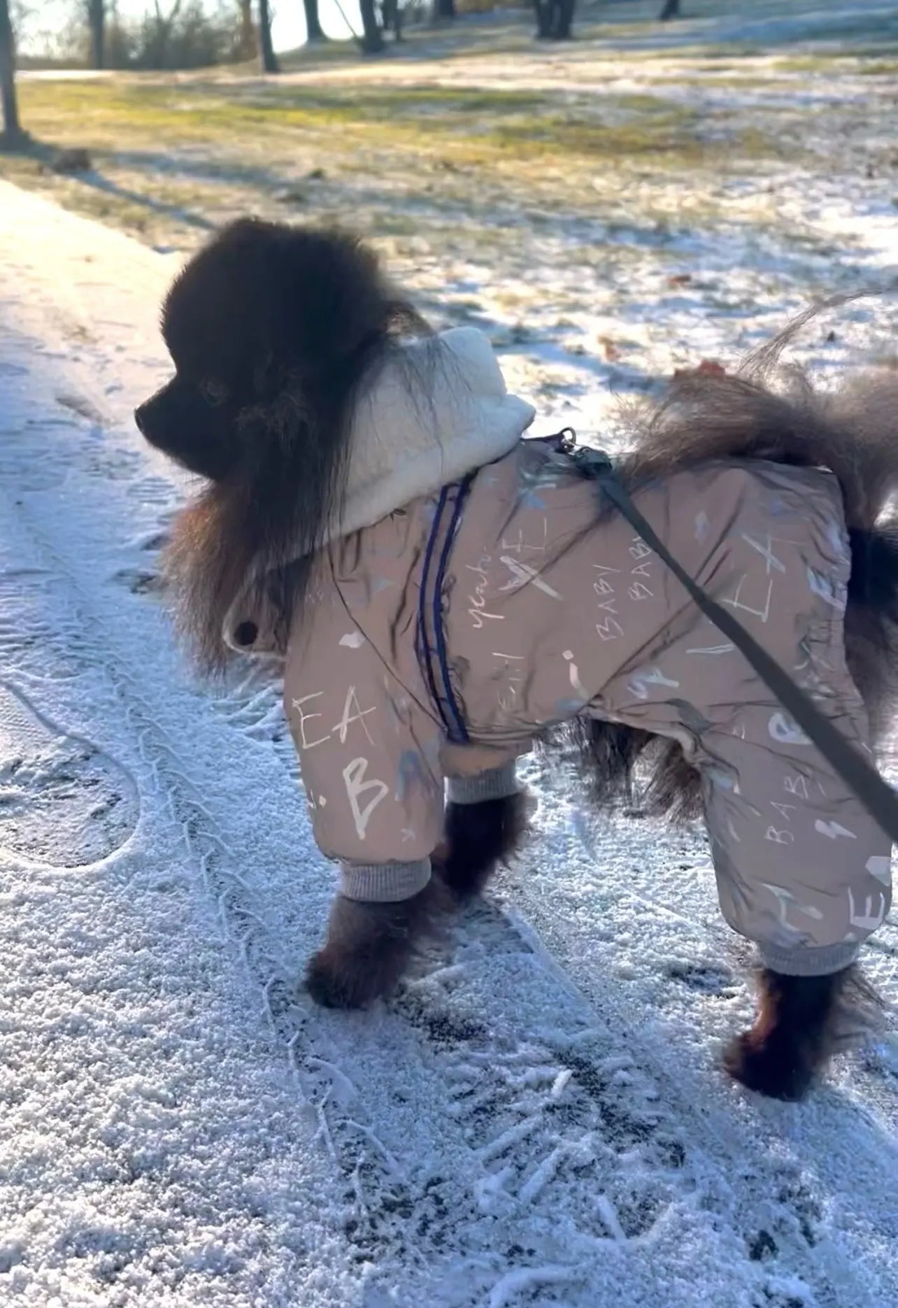 Reflective Pomeranian Winter Jumpsuits