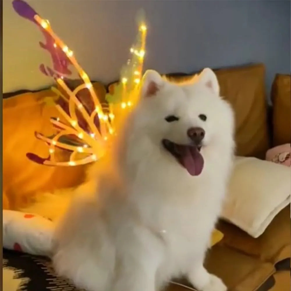 Dog Butterfly Lightning Wings