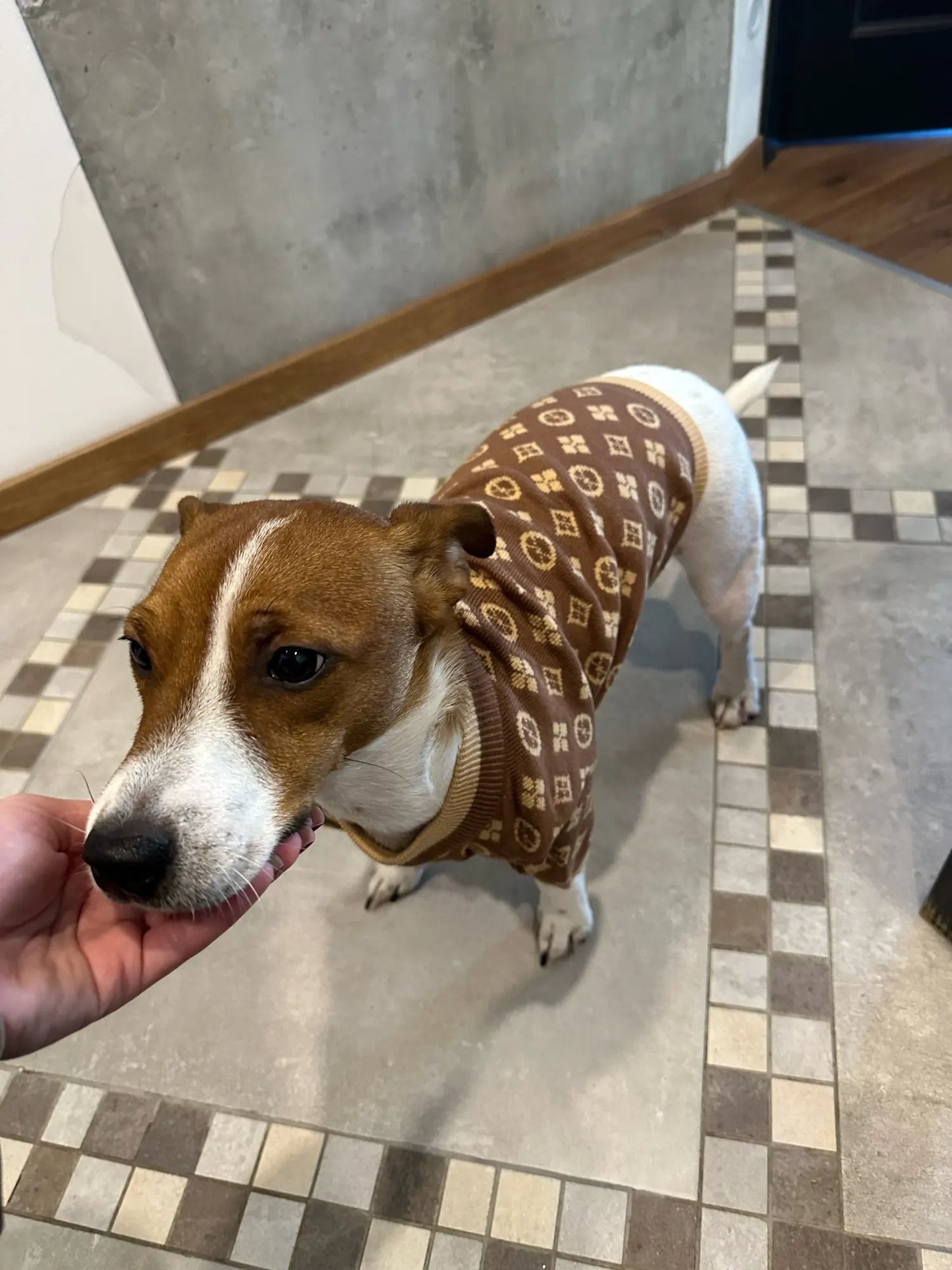 Winter Jack Russell Designer Sweater