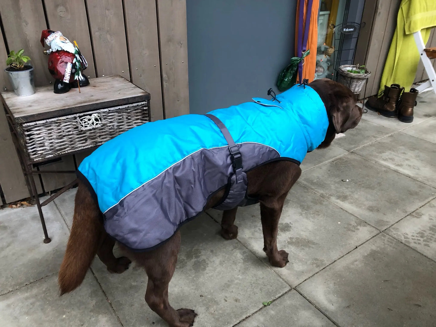 Waterproof Black Labrador Sweater