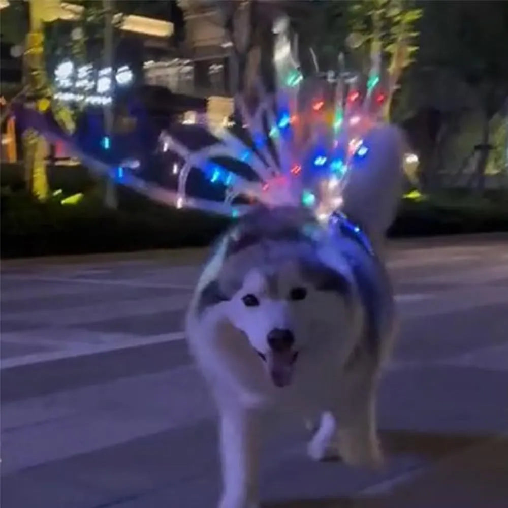 Dog Butterfly Lightning Wings