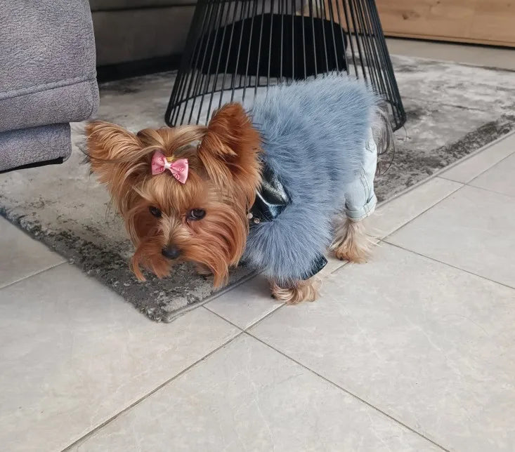 Luxury Yorkie Winter Jackets