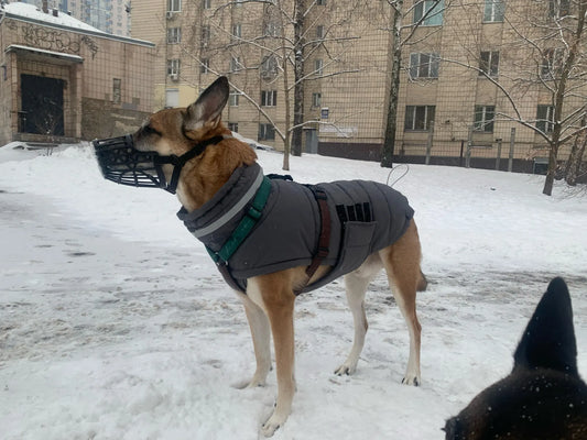 Malinois Adjustable Winter Jacket