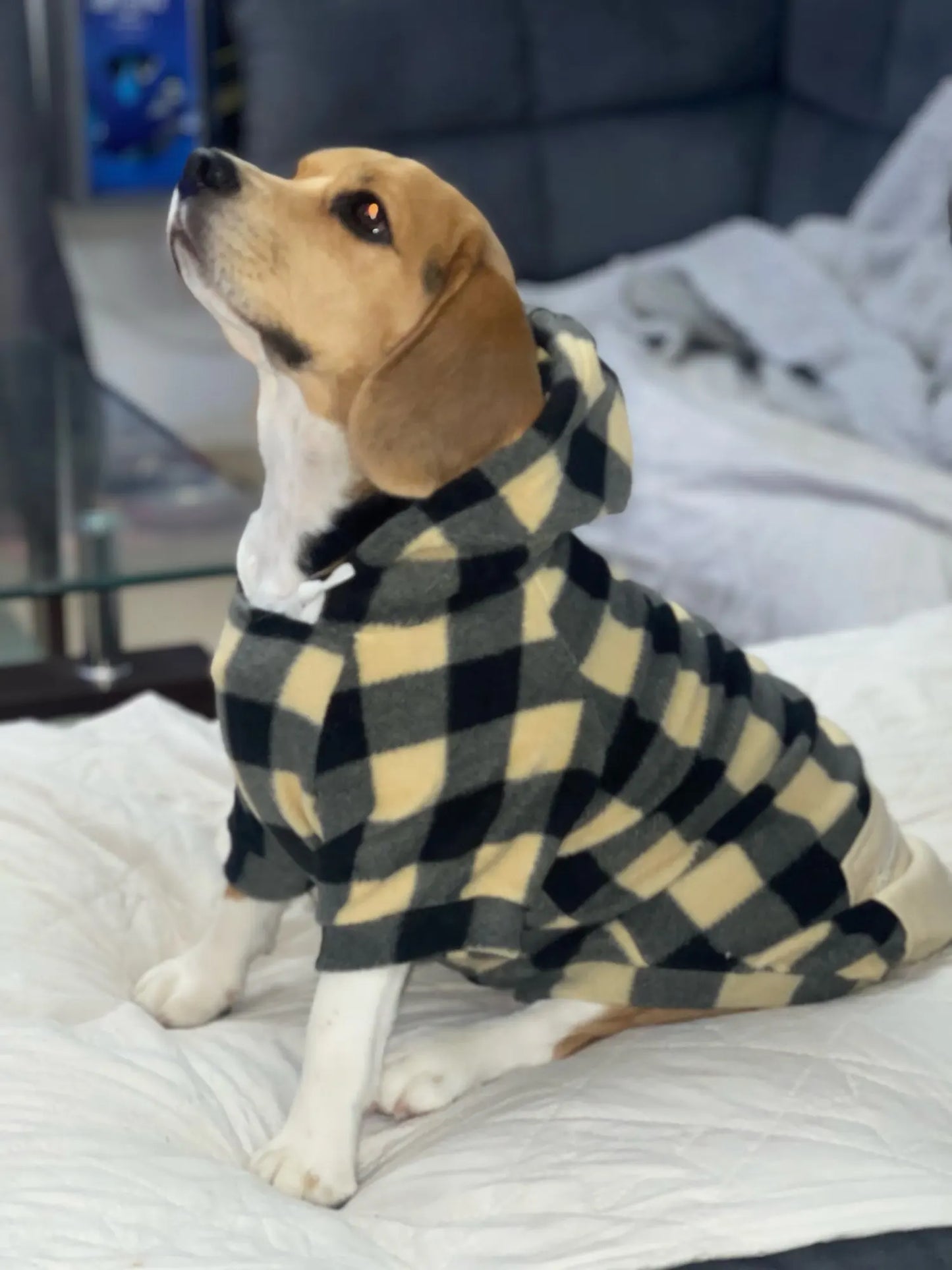 Beagle Plaid Winter Hoodies