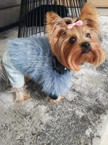 Luxury Yorkie Winter Jackets