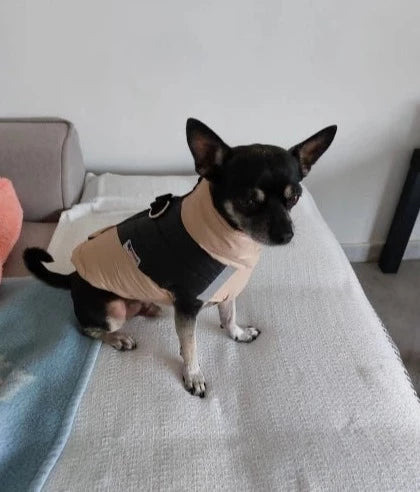 Chihuahua Warm Winter Jacket