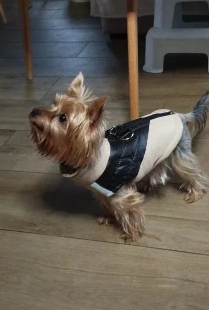 Yorkie Warm Winter Jacket