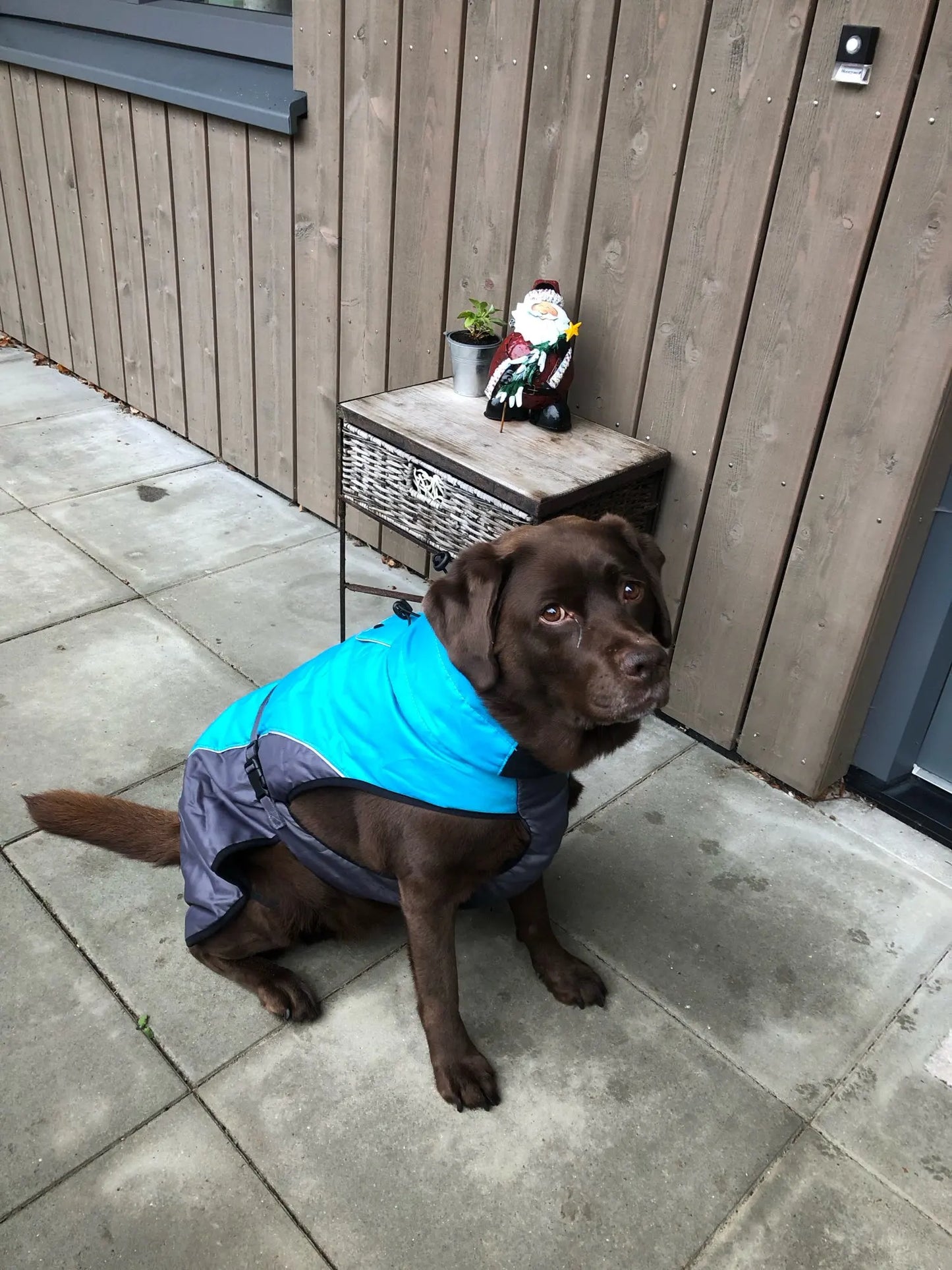 Waterproof Black Labrador Sweater