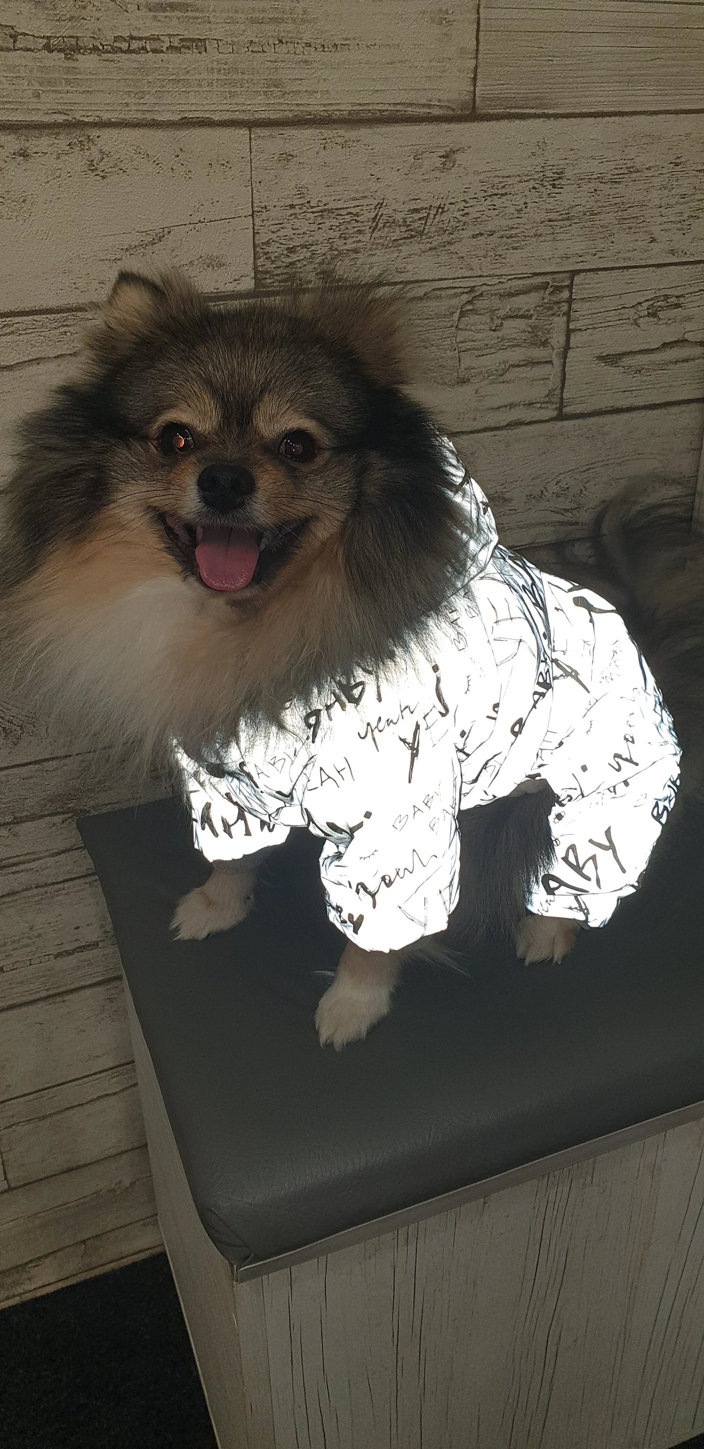 Reflective Pomeranian Winter Jumpsuits