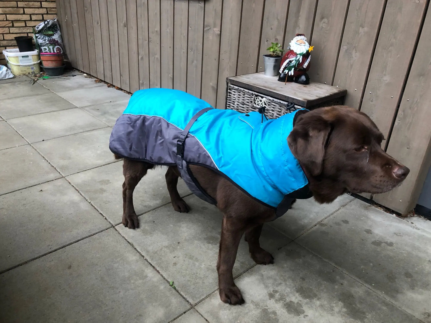 Waterproof Black Labrador Sweater