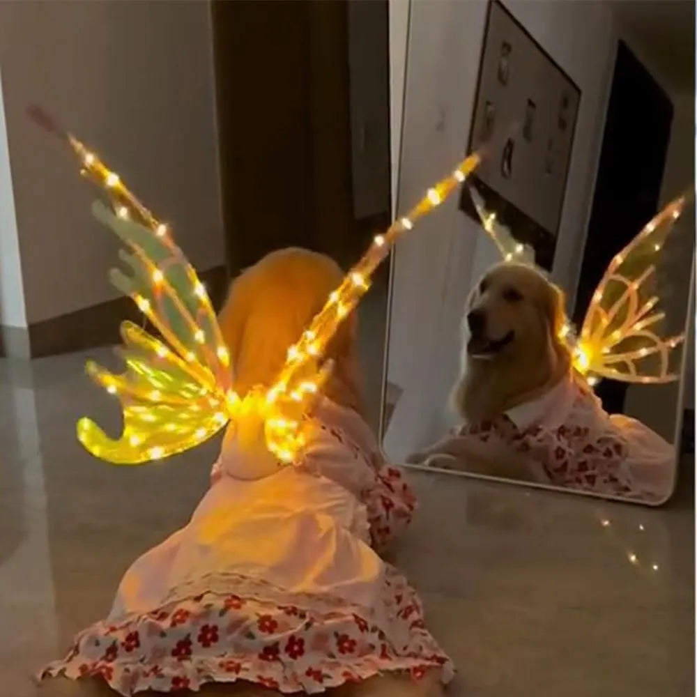 Dog Butterfly Lightning Wings