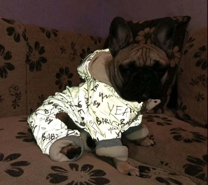 Frenchie Winter Reflective Jumpsuits