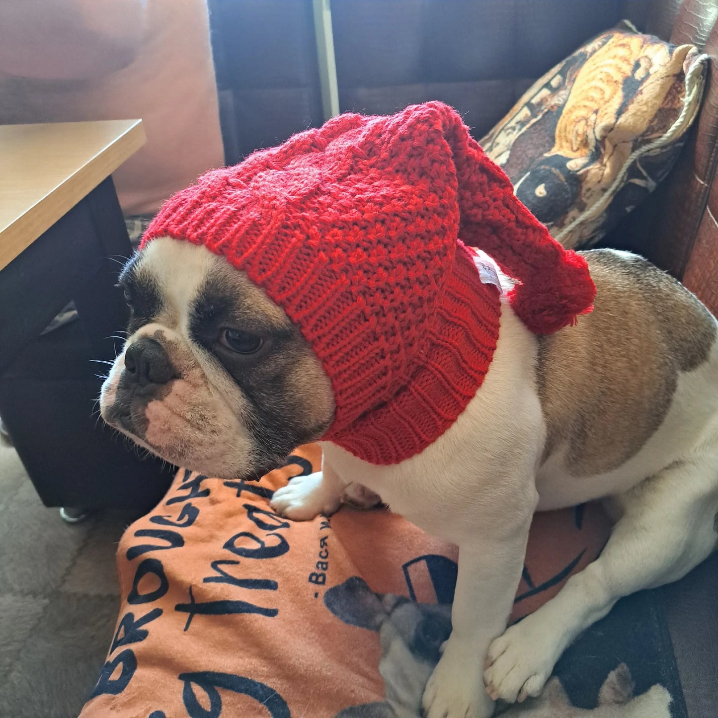 Frenchie Winter Woolen Hat