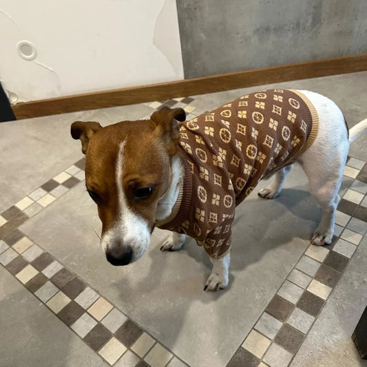 Winter Jack Russell Designer Sweater