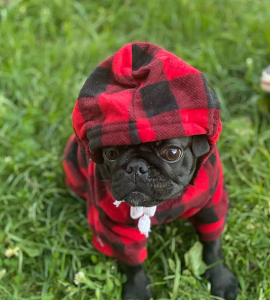 Pug Plaid Print Winter Hoodies