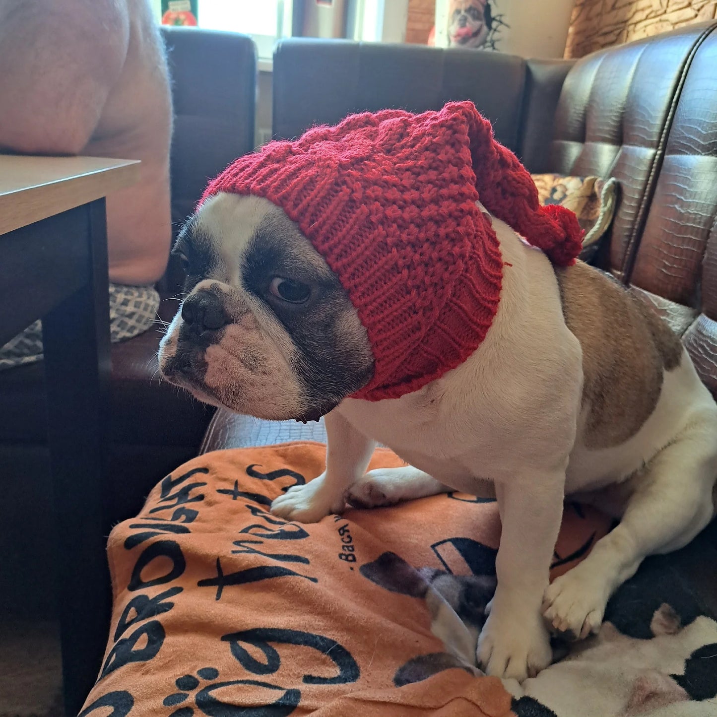 Frenchie Winter Woolen Hat