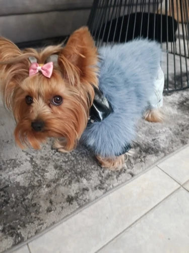 Luxury Yorkie Winter Jackets