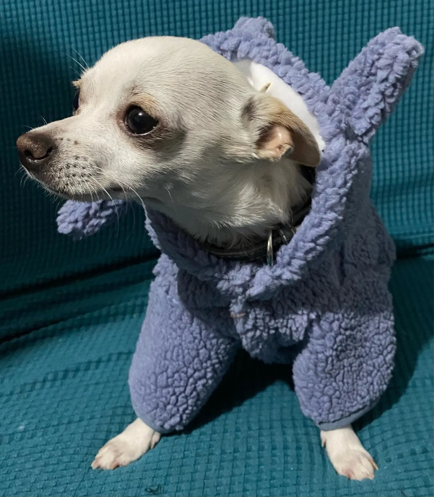 Chihuahua Winter Cosplay Hoodie