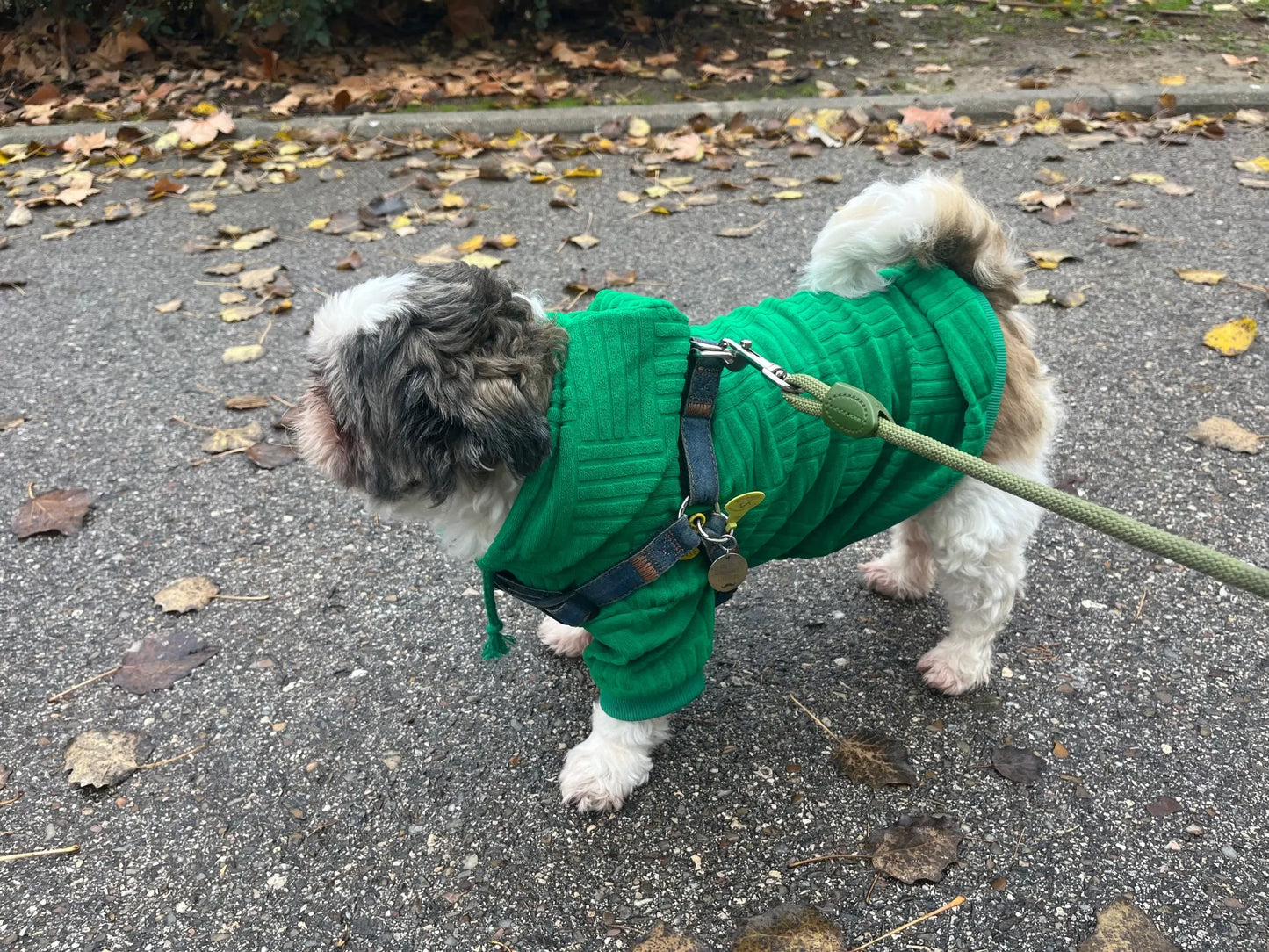 Shih Tzu Winter Fashion Hoodie