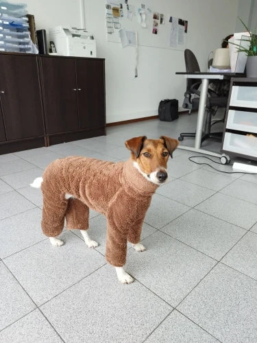 Winter Jack Russell Fleece Sweater