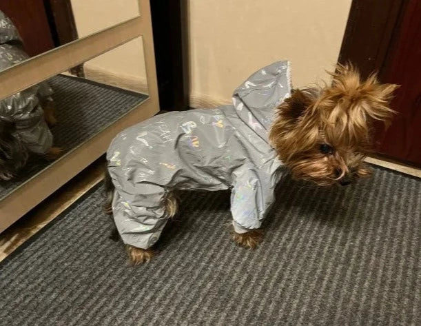 Reflective Yorkie Winter Jumpsuits